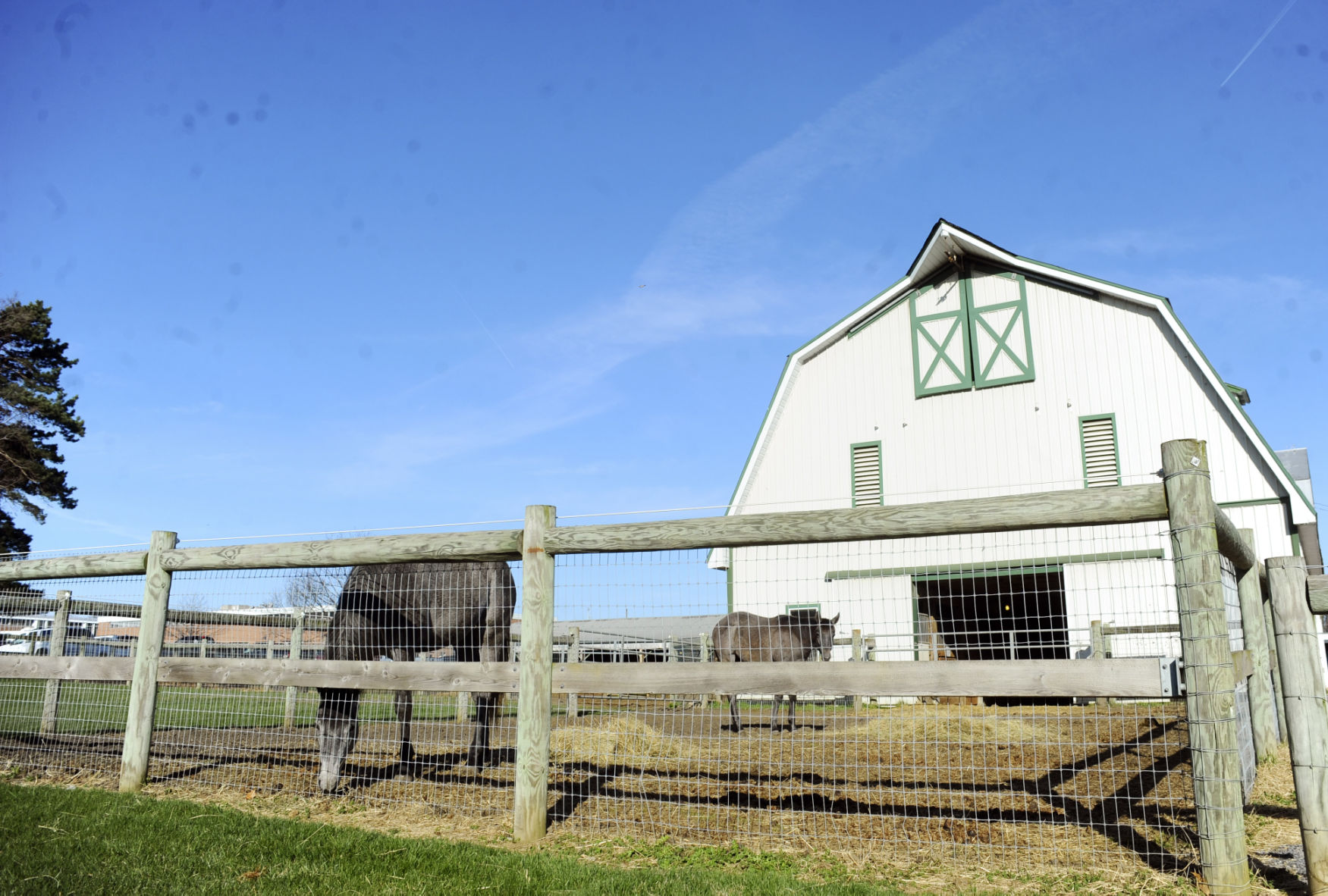 Horse Barn